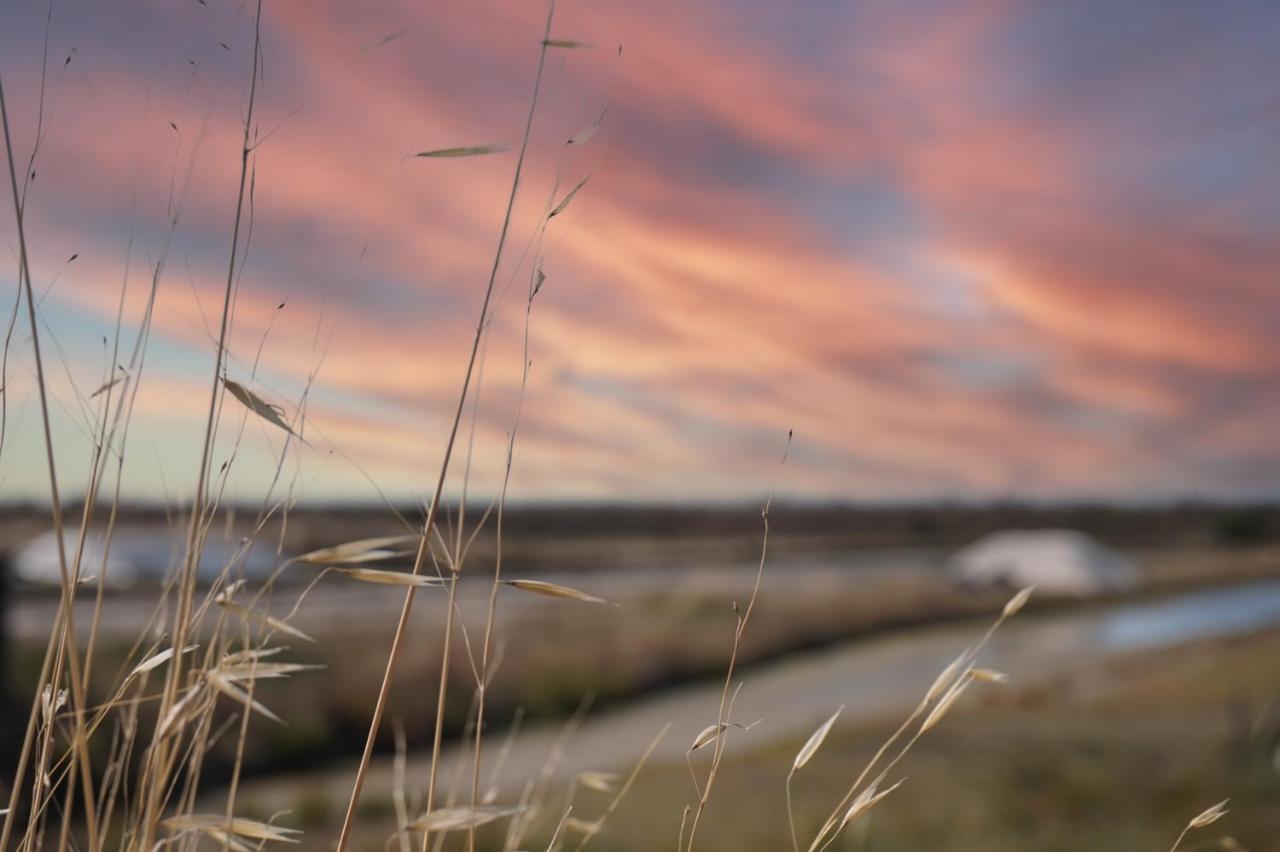 Le Parc Des Mimosas Villa Noirmoutier-en-l'Ile Eksteriør bilde