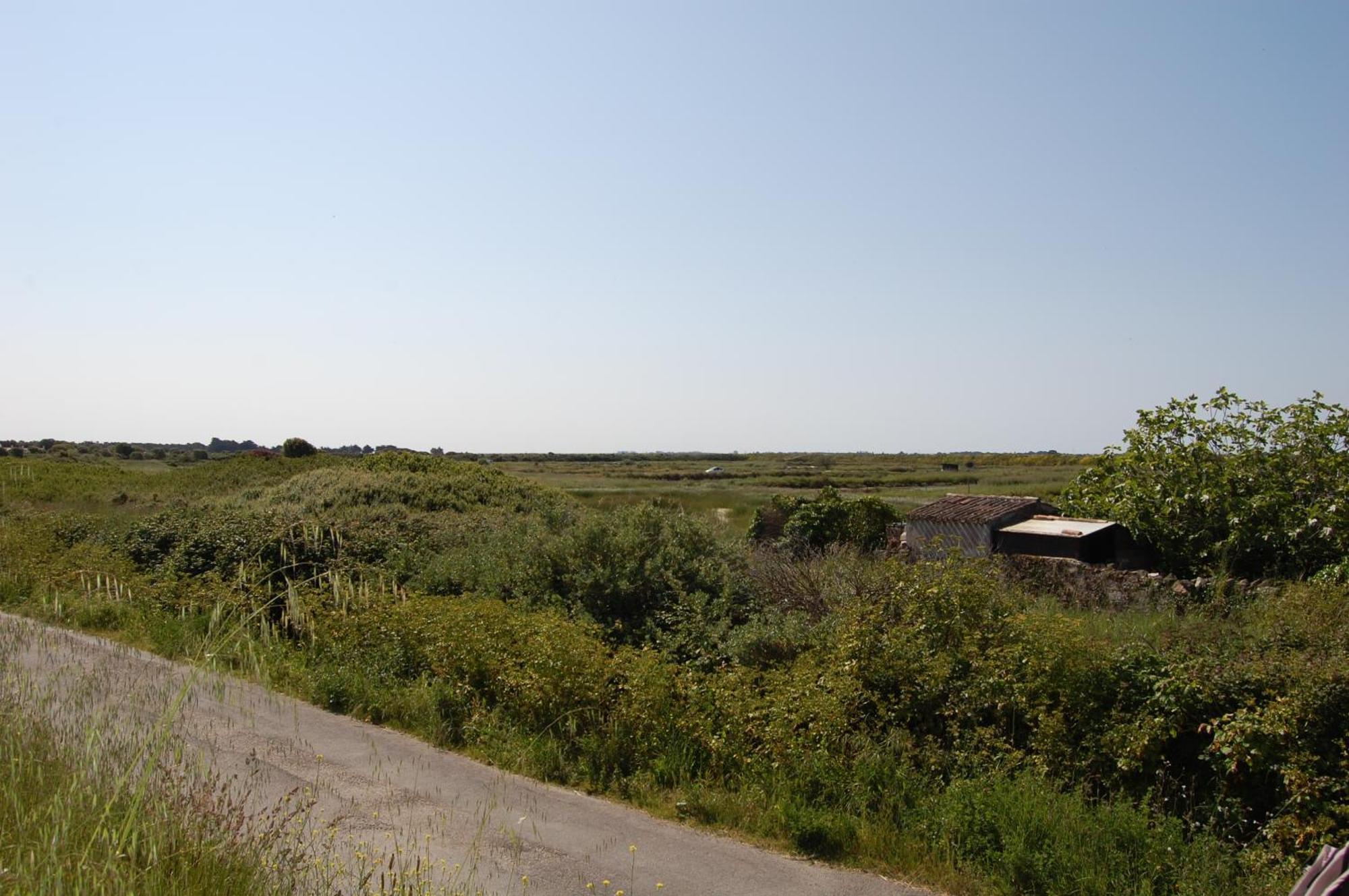 Le Parc Des Mimosas Villa Noirmoutier-en-l'Ile Eksteriør bilde