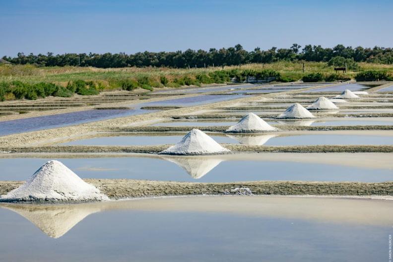 Le Parc Des Mimosas Villa Noirmoutier-en-l'Ile Eksteriør bilde